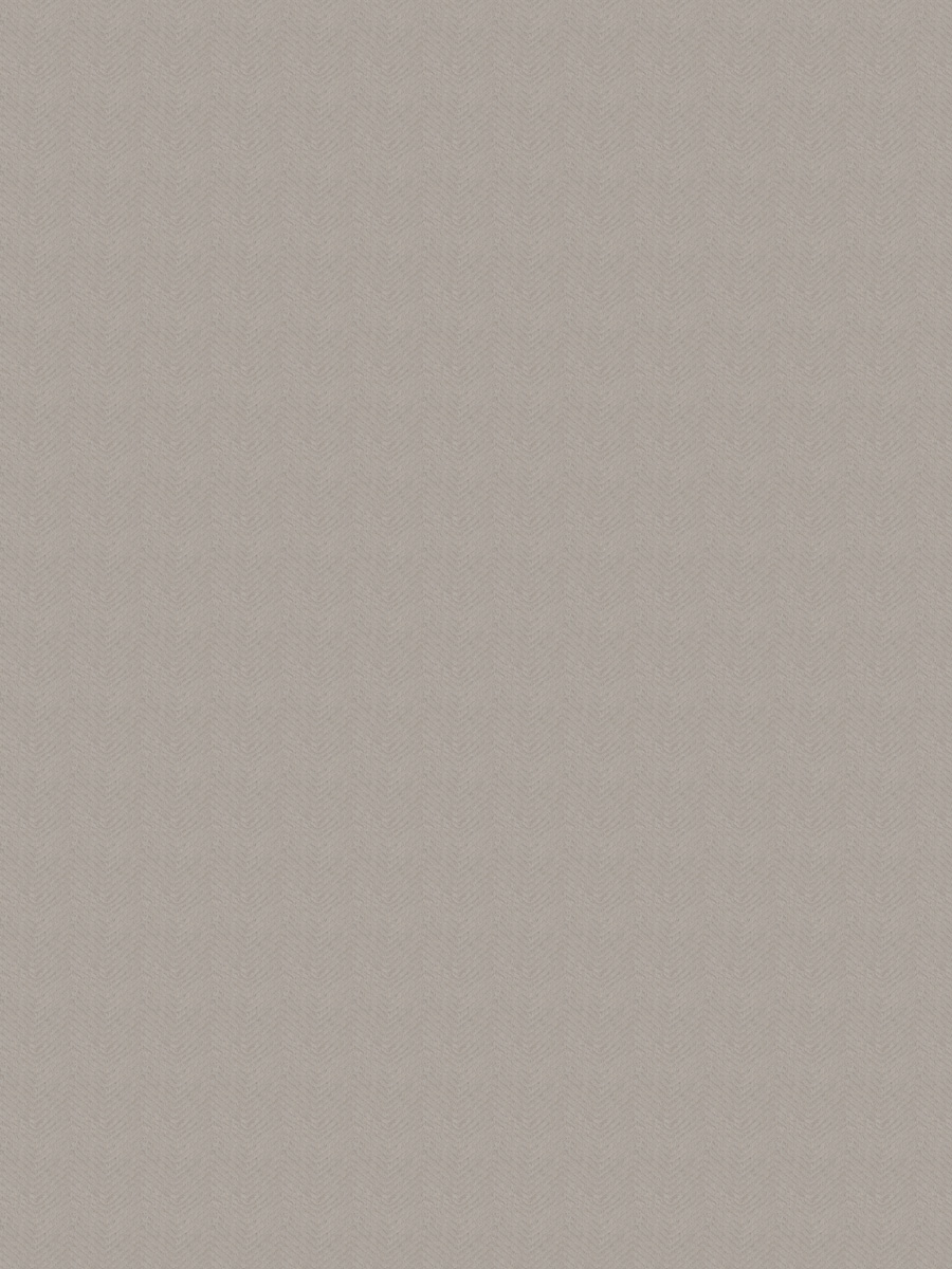 Zuckerberg – Silver