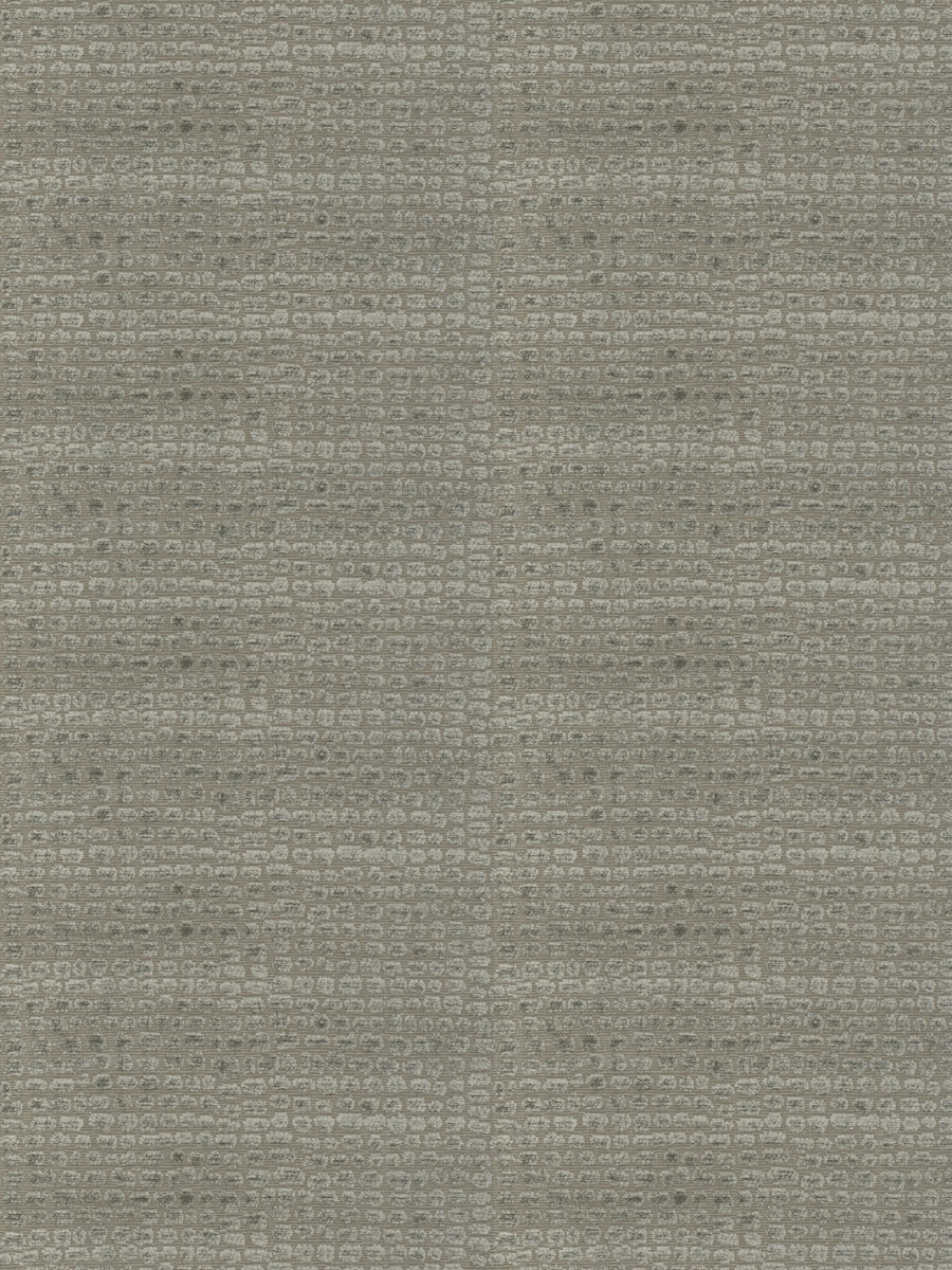 Rapido Skin – Fog
