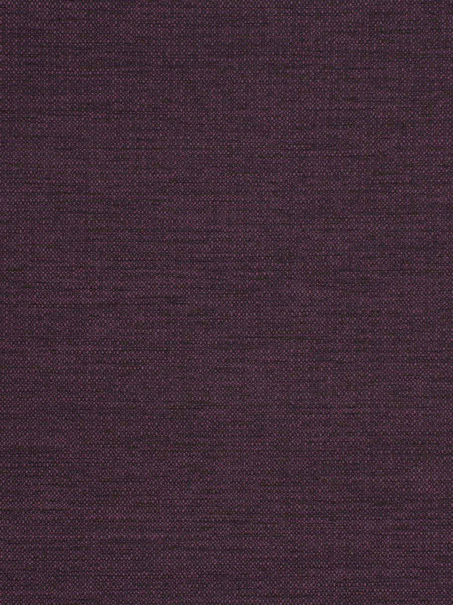 Zuma – Plum