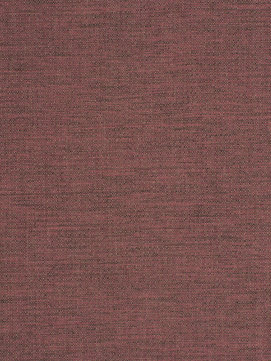 Zuma – Crocus