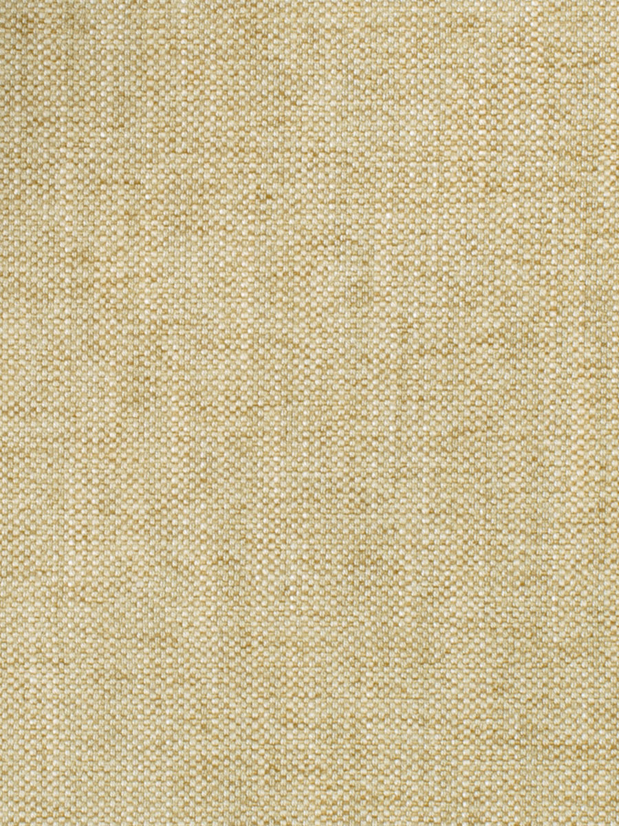 Backed Zenith – Hemp