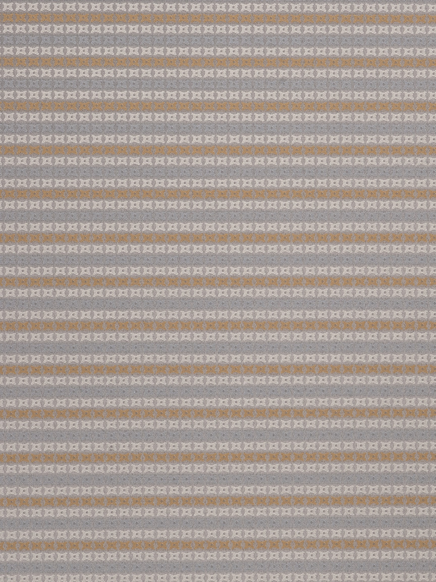 Alethea – Fossil