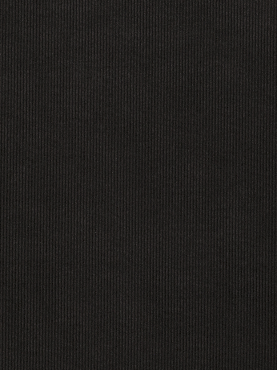 Lakshmi – Charcoal