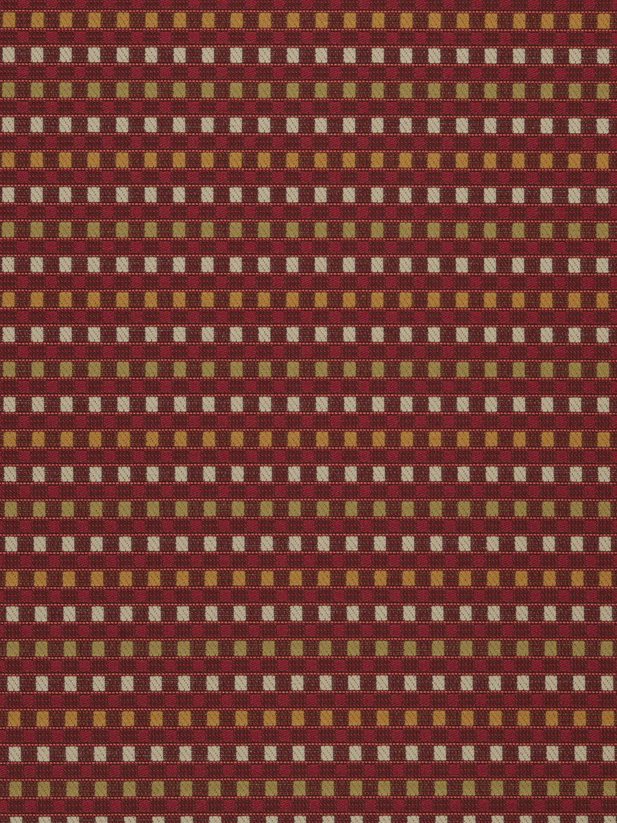 Aeron – Begonia