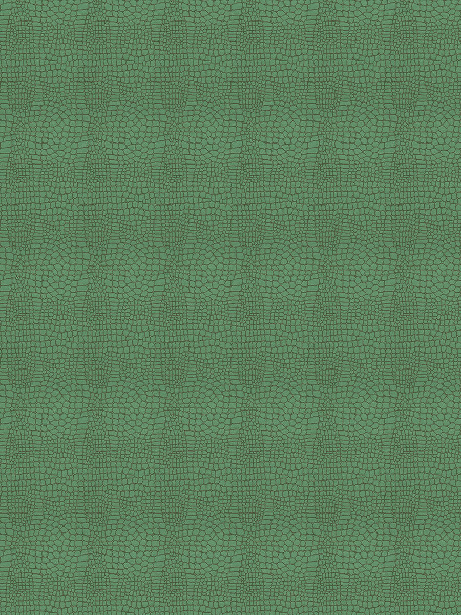 Chandra – Spearmint