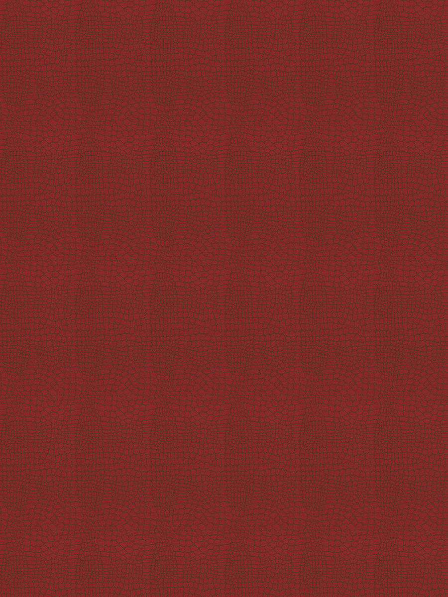 Chandra – Ruby