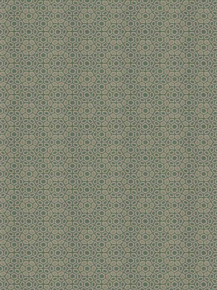 Enid – Eucalyptus