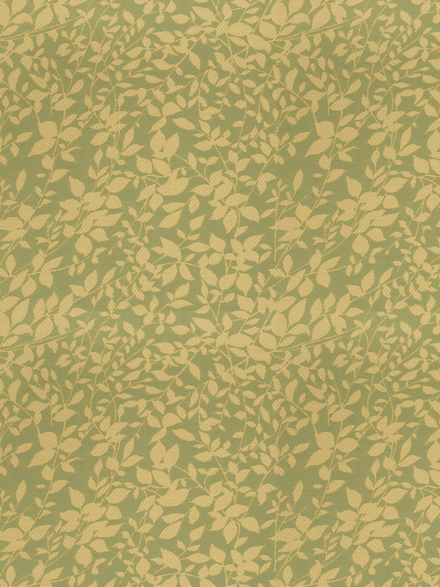 Macha – Mint