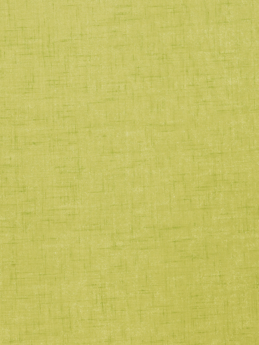 Bolt – Kiwi