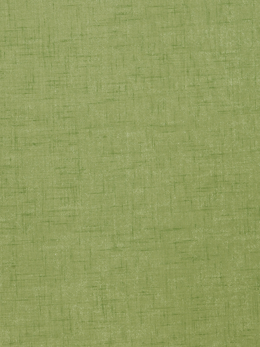 Bolt – Basil