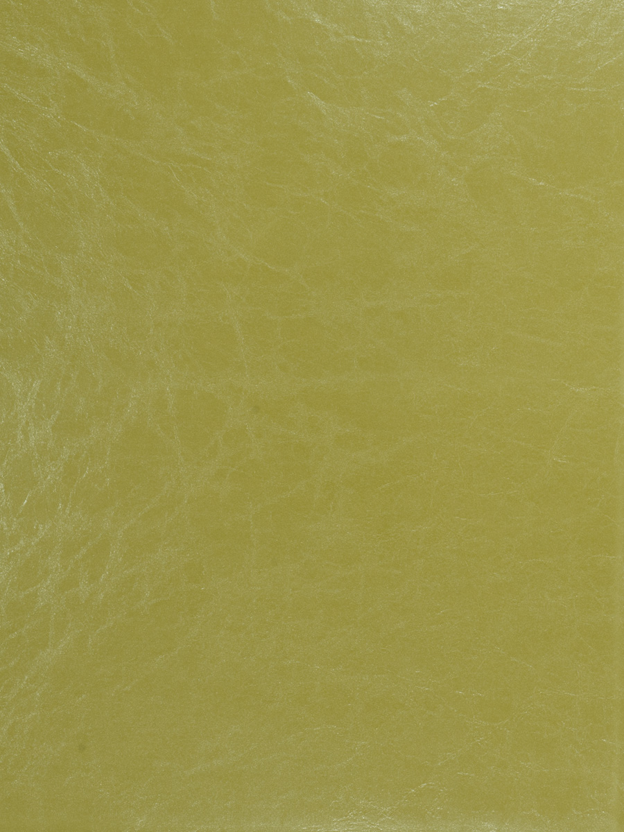 Soundview – Kiwi