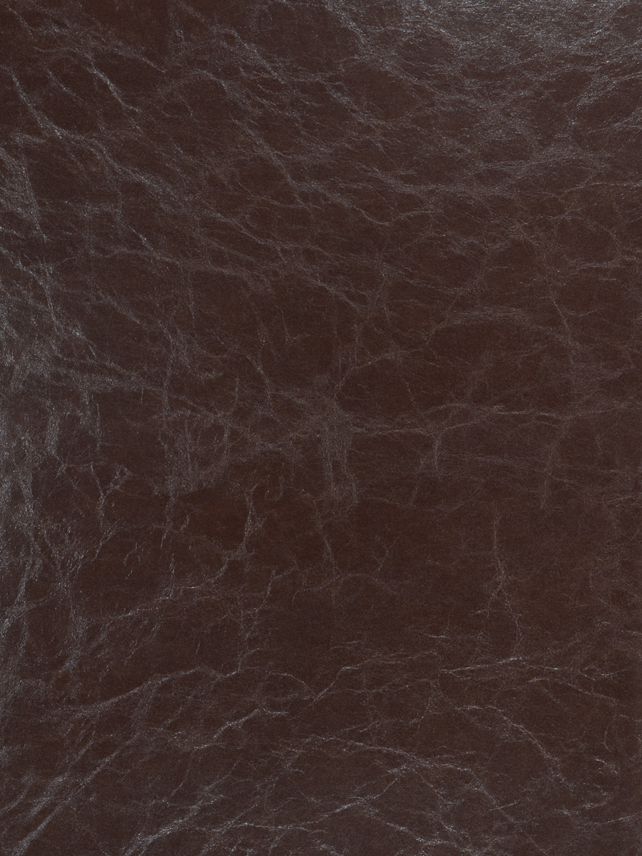 Soundview – Cedar