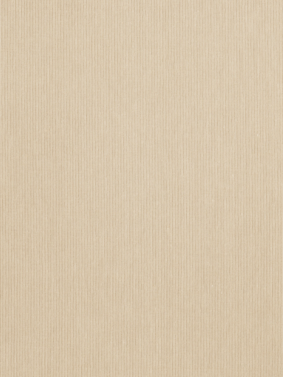 Pannotia – Custard