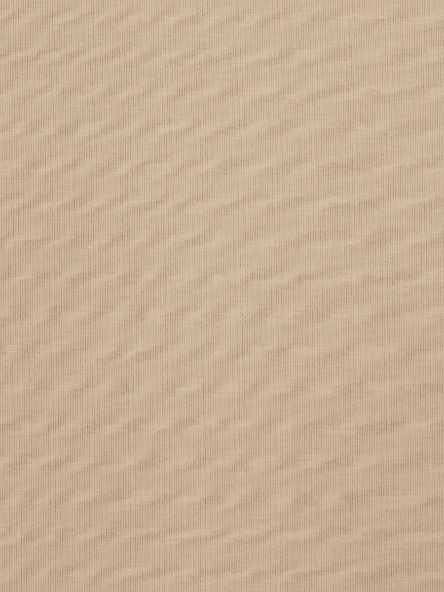 Pannotia – Tan