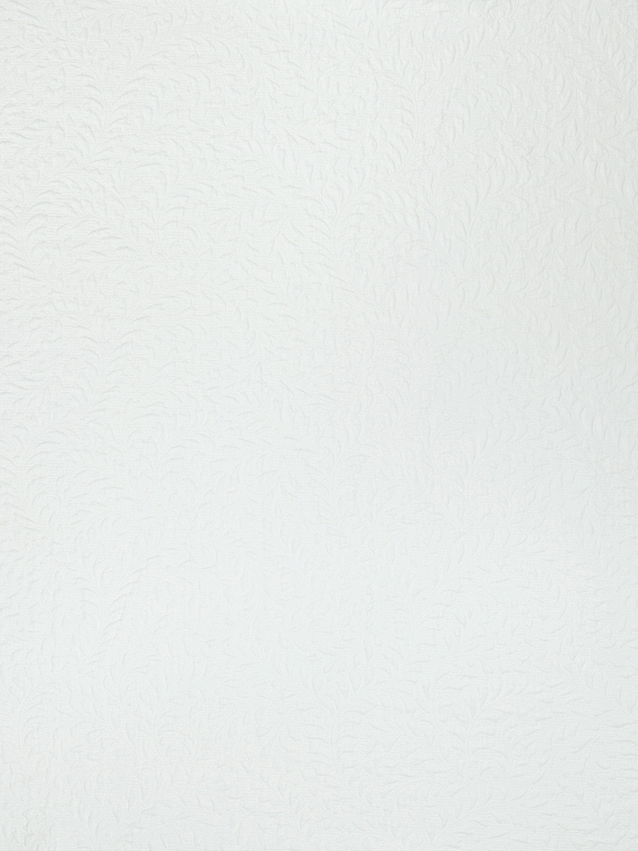 Belle De Nuit – Ivory