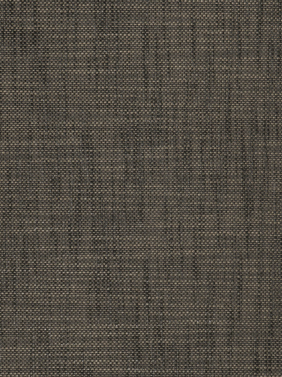 Escapade – Carbon