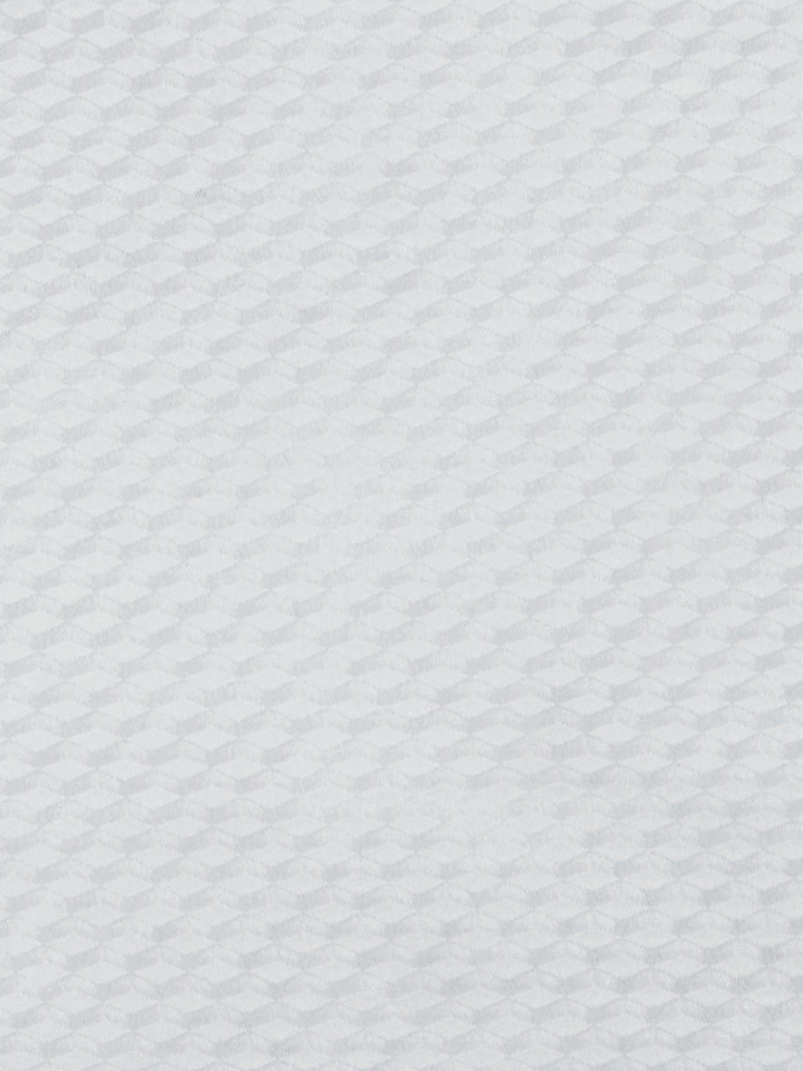 Protector – Silver