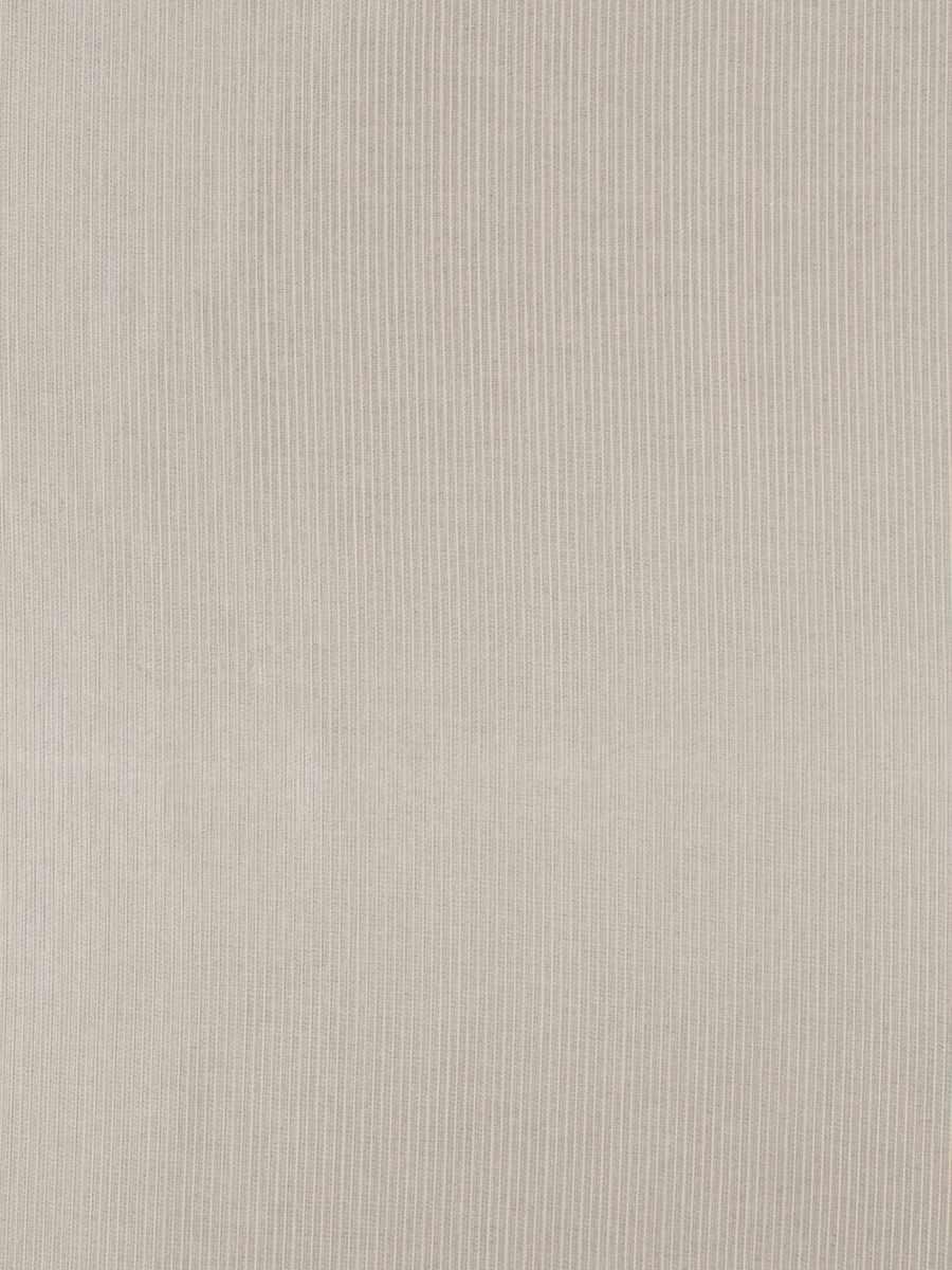 Shape – Putty