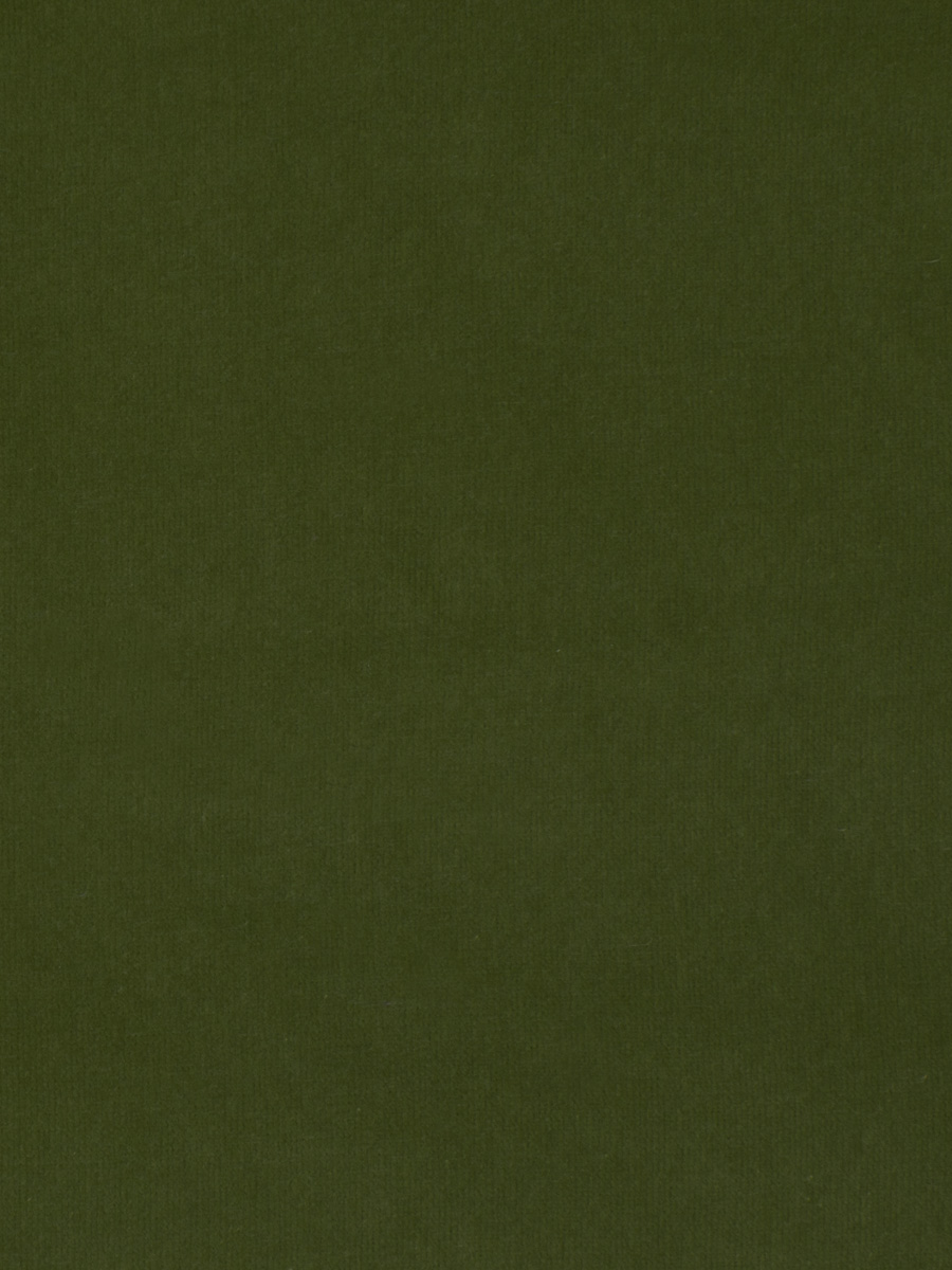 Luxury Velvet – Tarragon