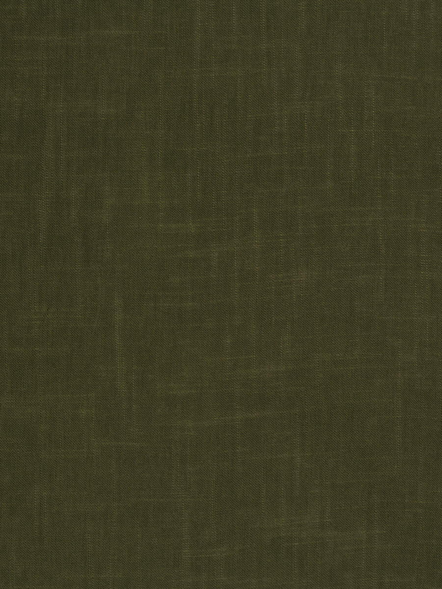 01987 – Olive