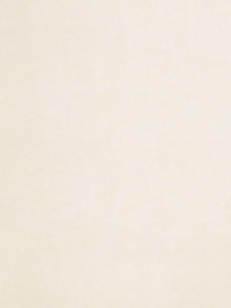01191 – Champagne