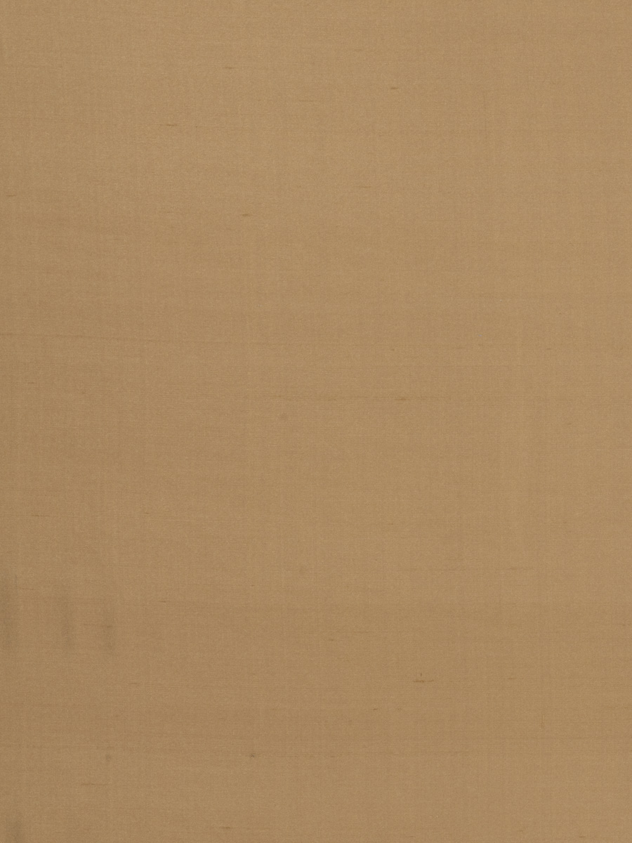 01004 – Cashew
