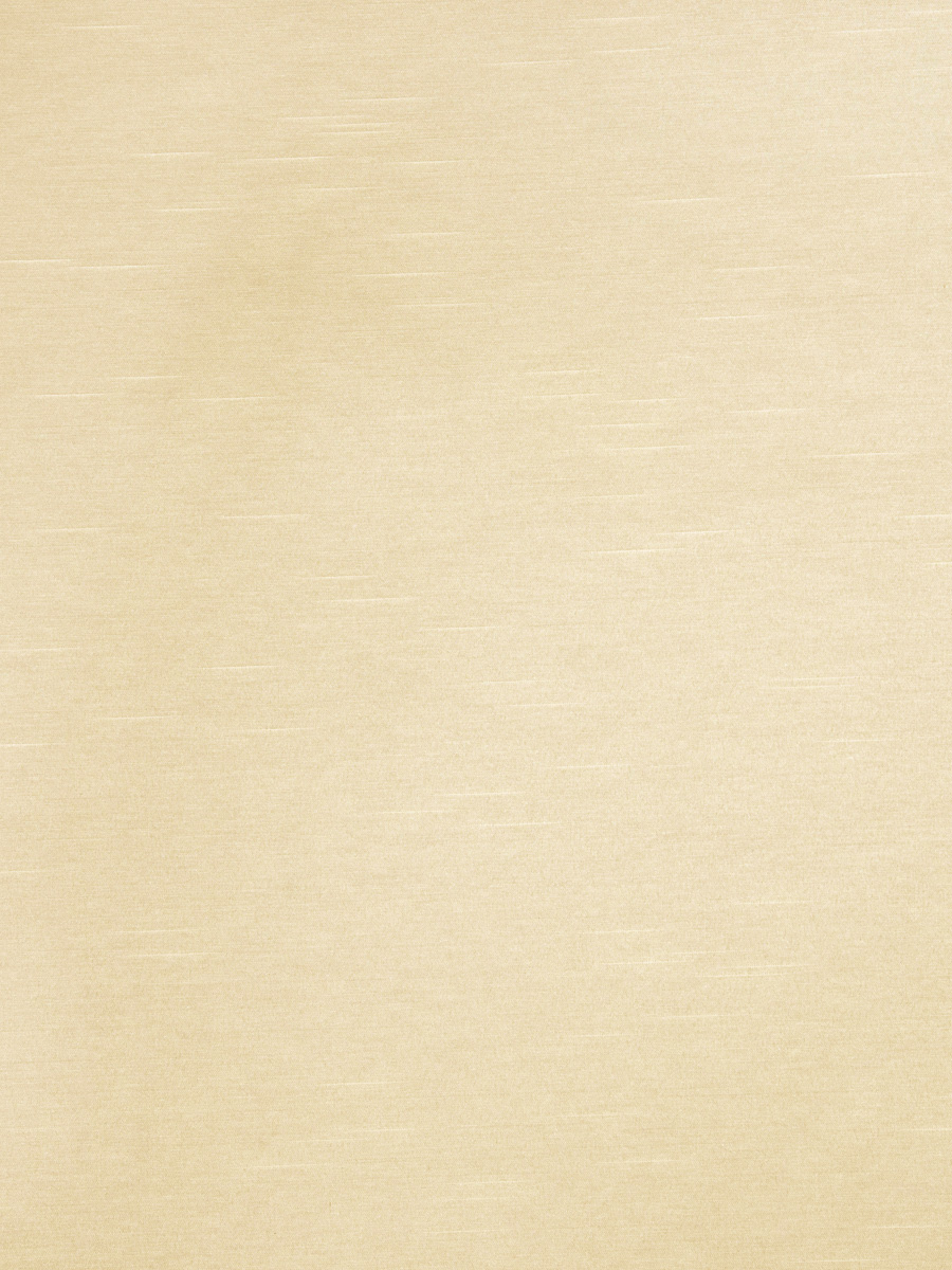 02566 – Natural
