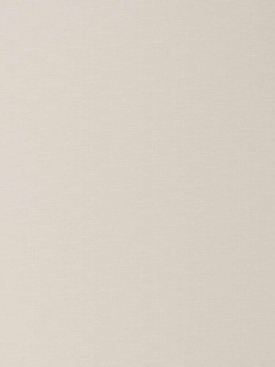 Macho – Ivory