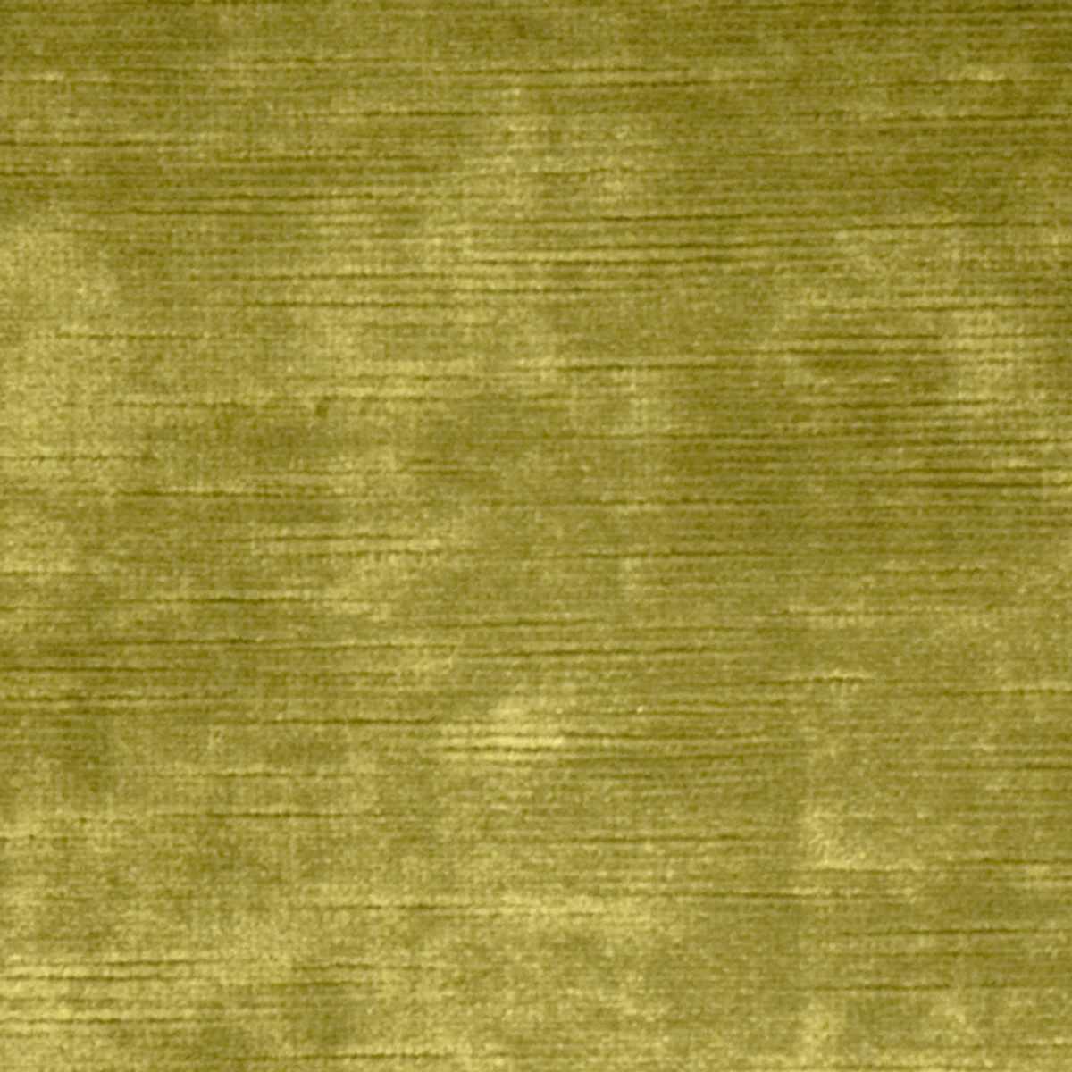 Bellagio – Fern
