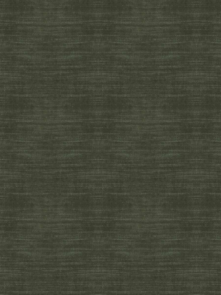 05800 – Turtle