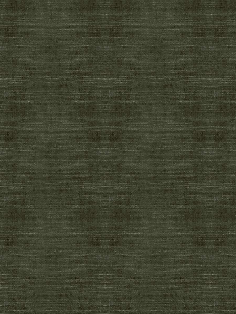 05800 – Moss