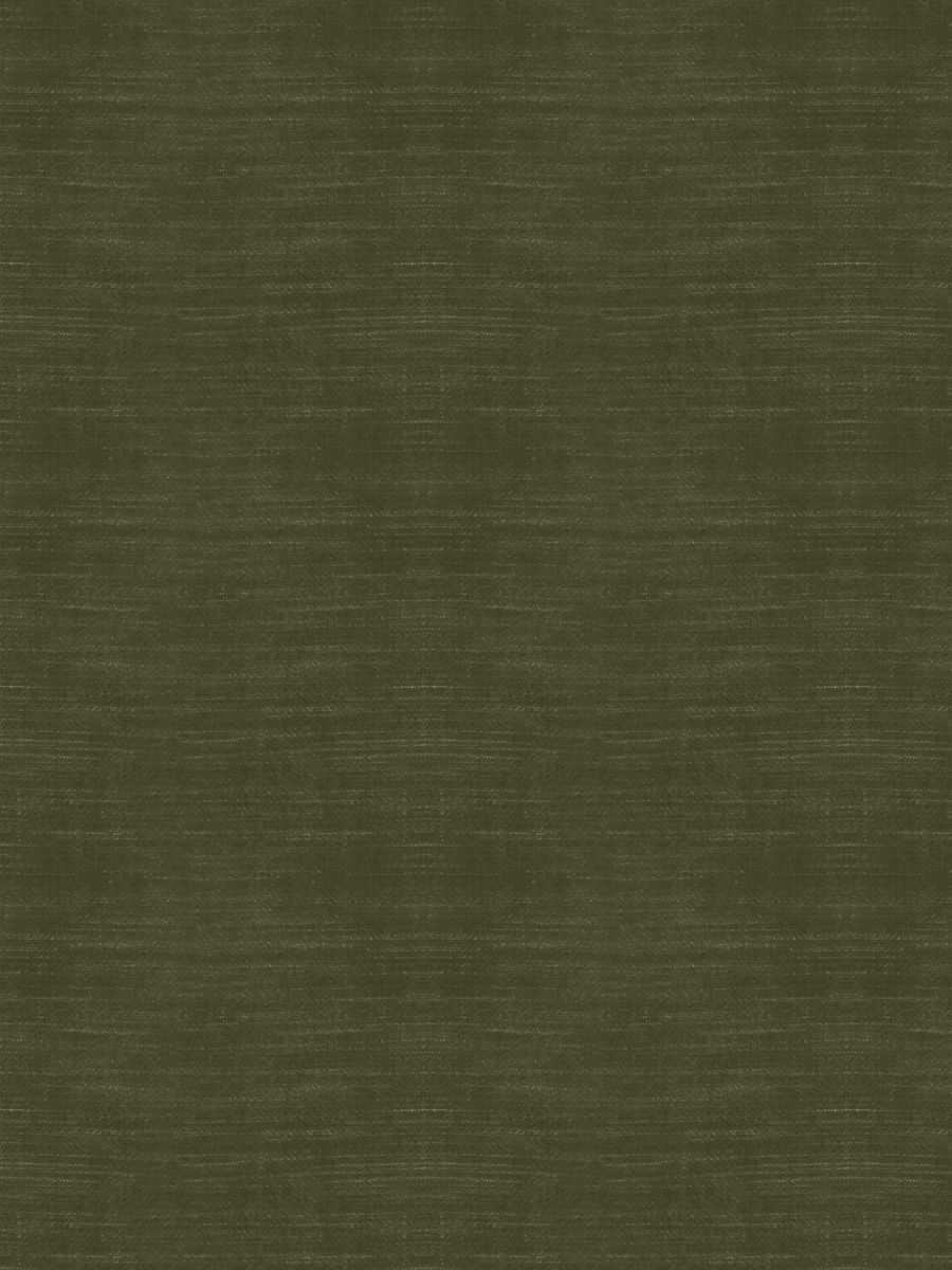 05800 – Forest