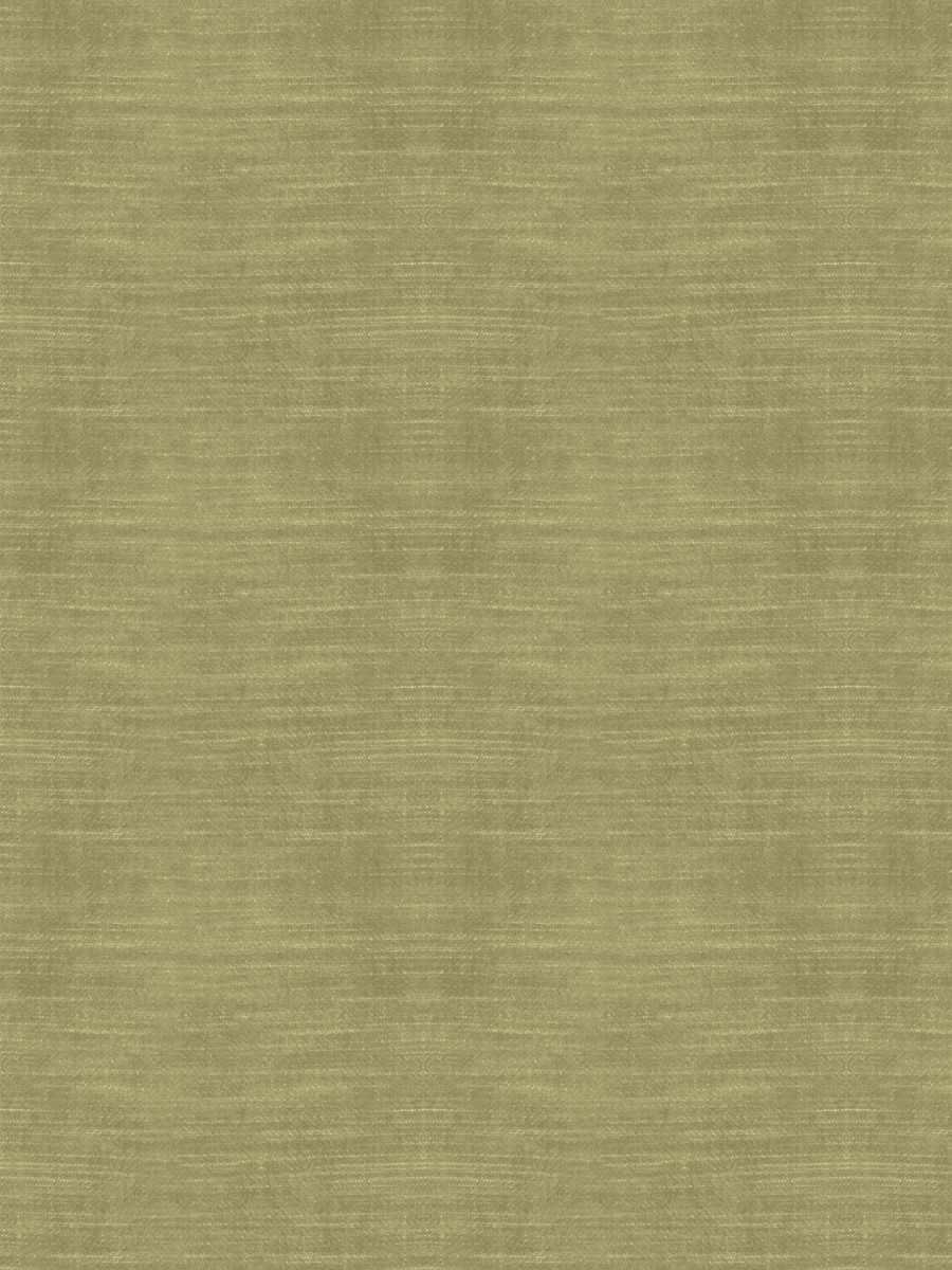 05800 – Olive