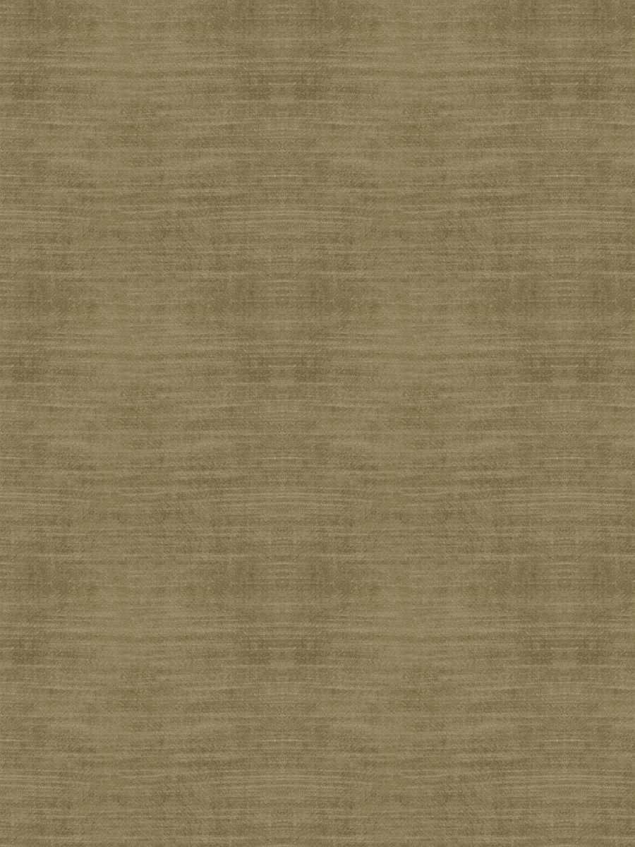 05800 – Chamois