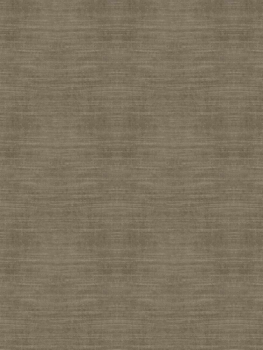 05800 – Bark