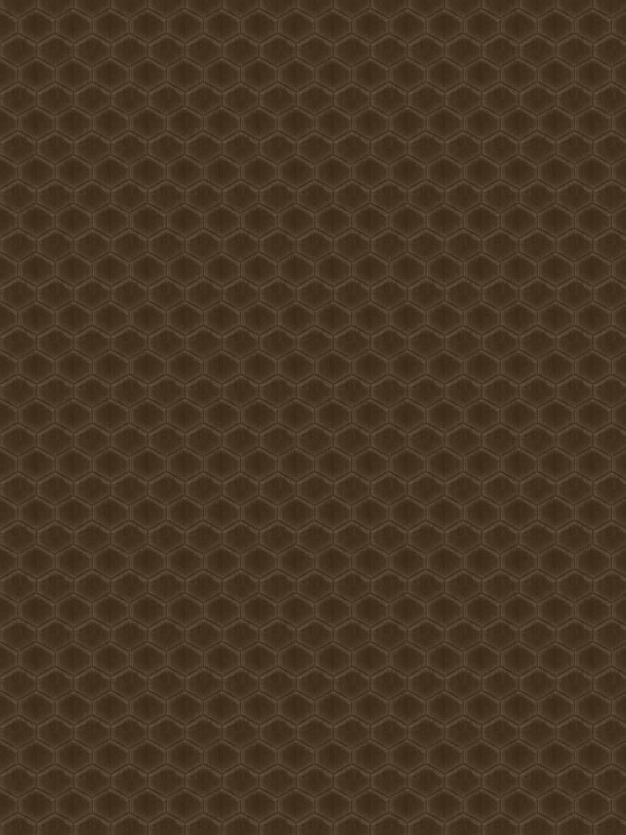 05794 – Brown