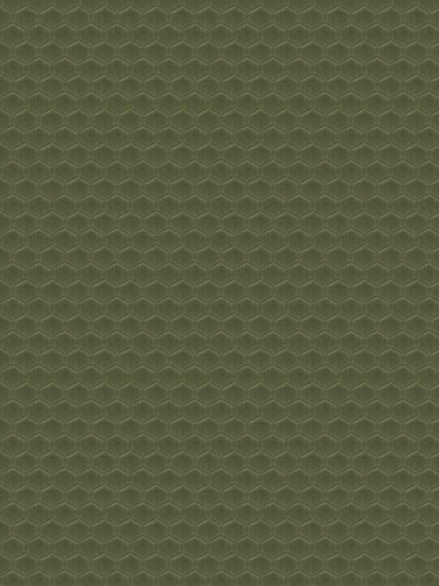 05794 – Olive