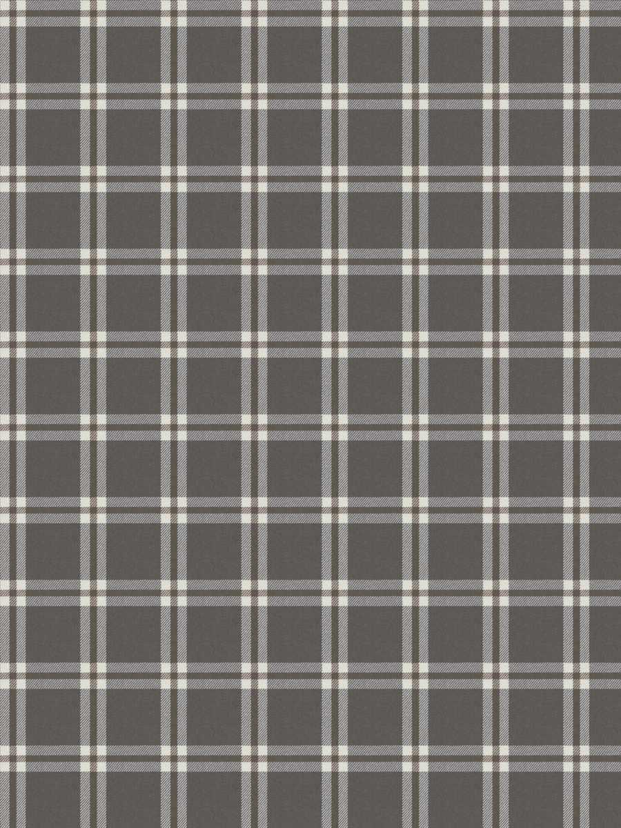 05791 – Charcoal