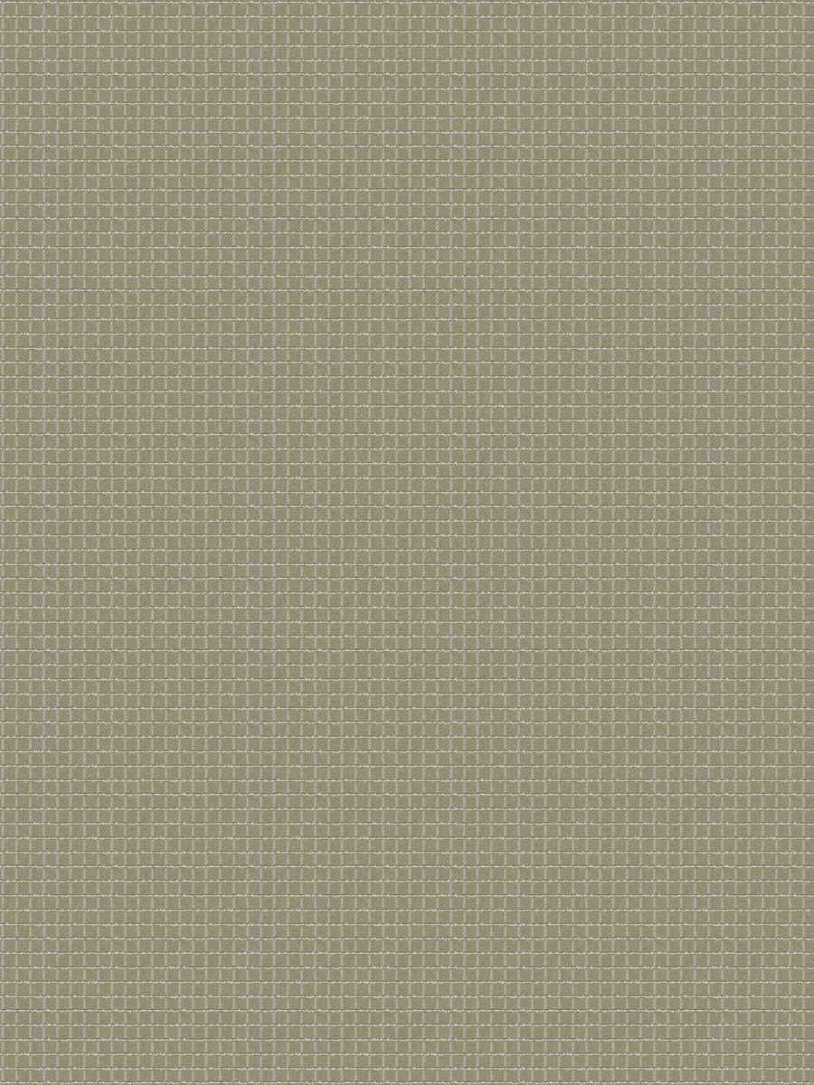 05790 – Oatmeal