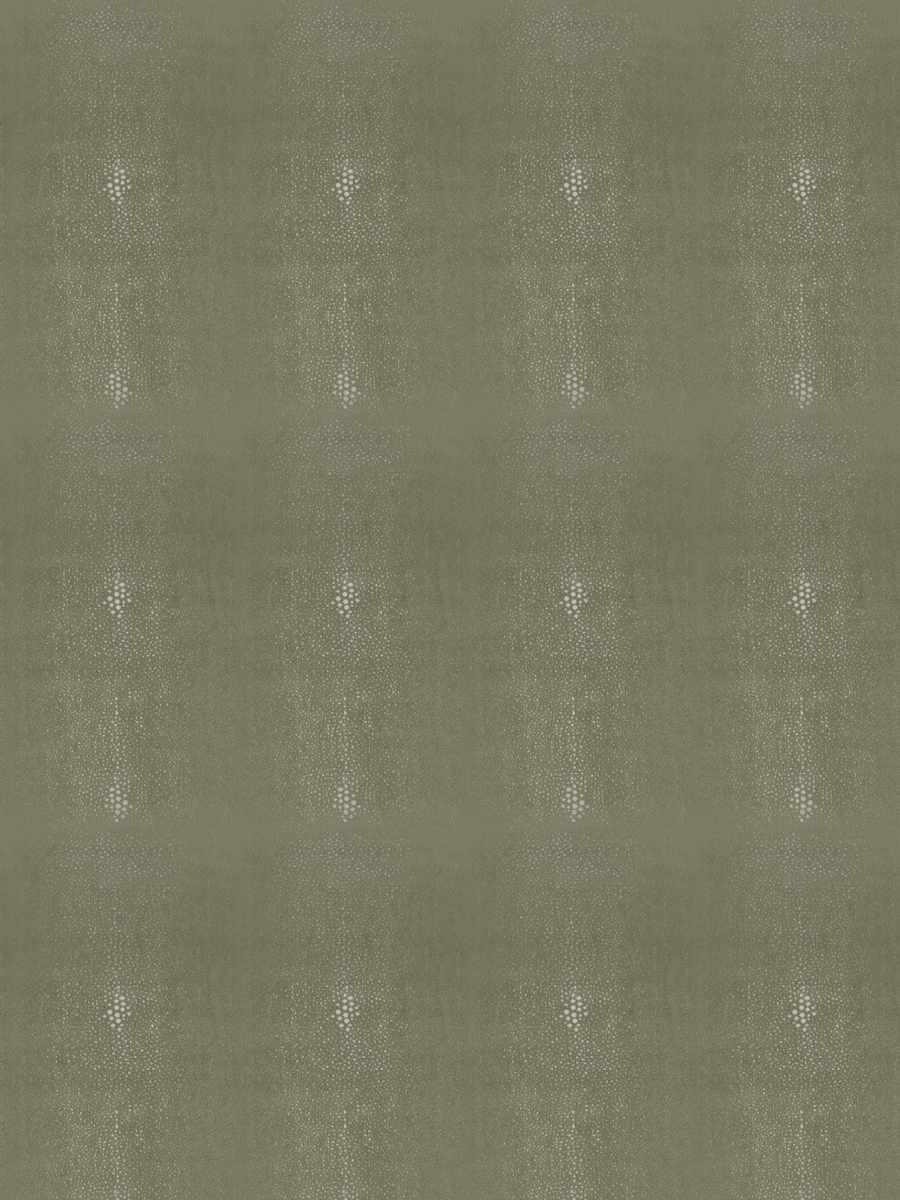 05783 – Moss