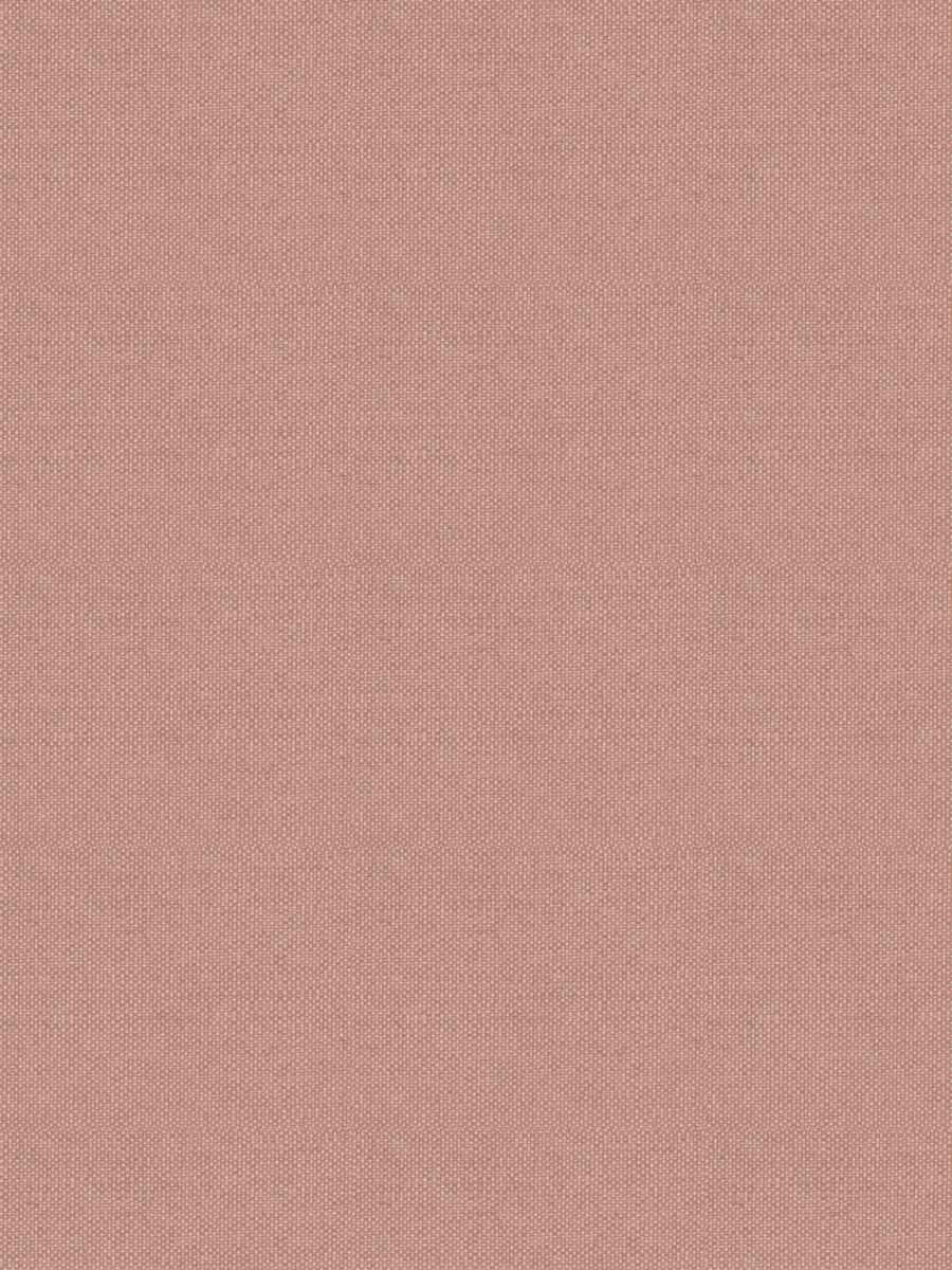 05693 – Peony
