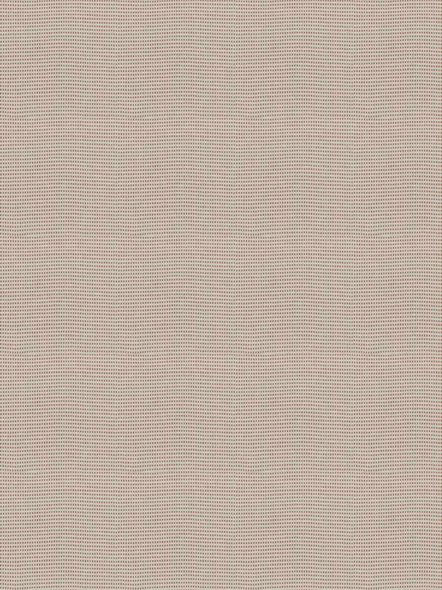05677 – Peony