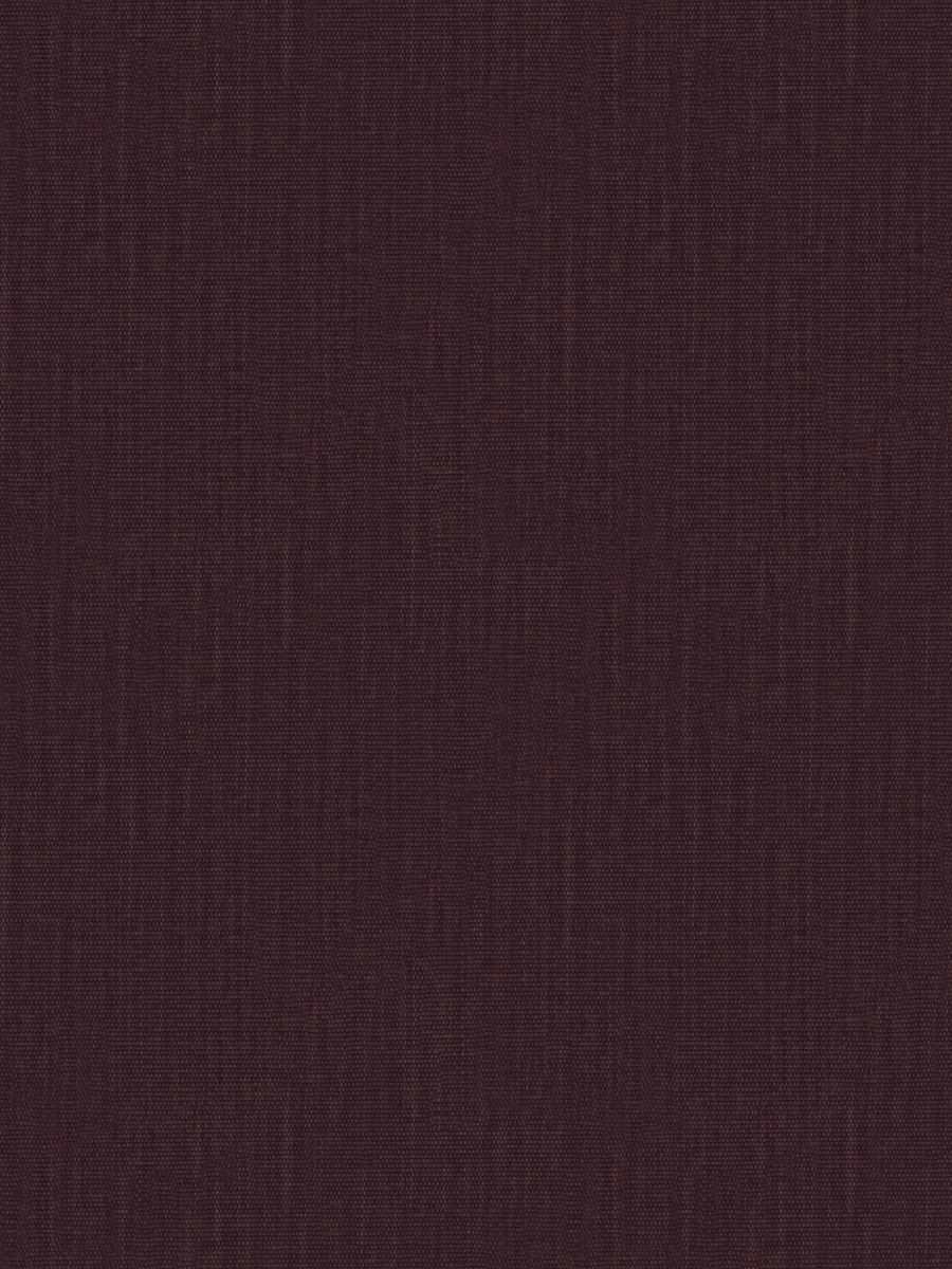 05644 – Jelly