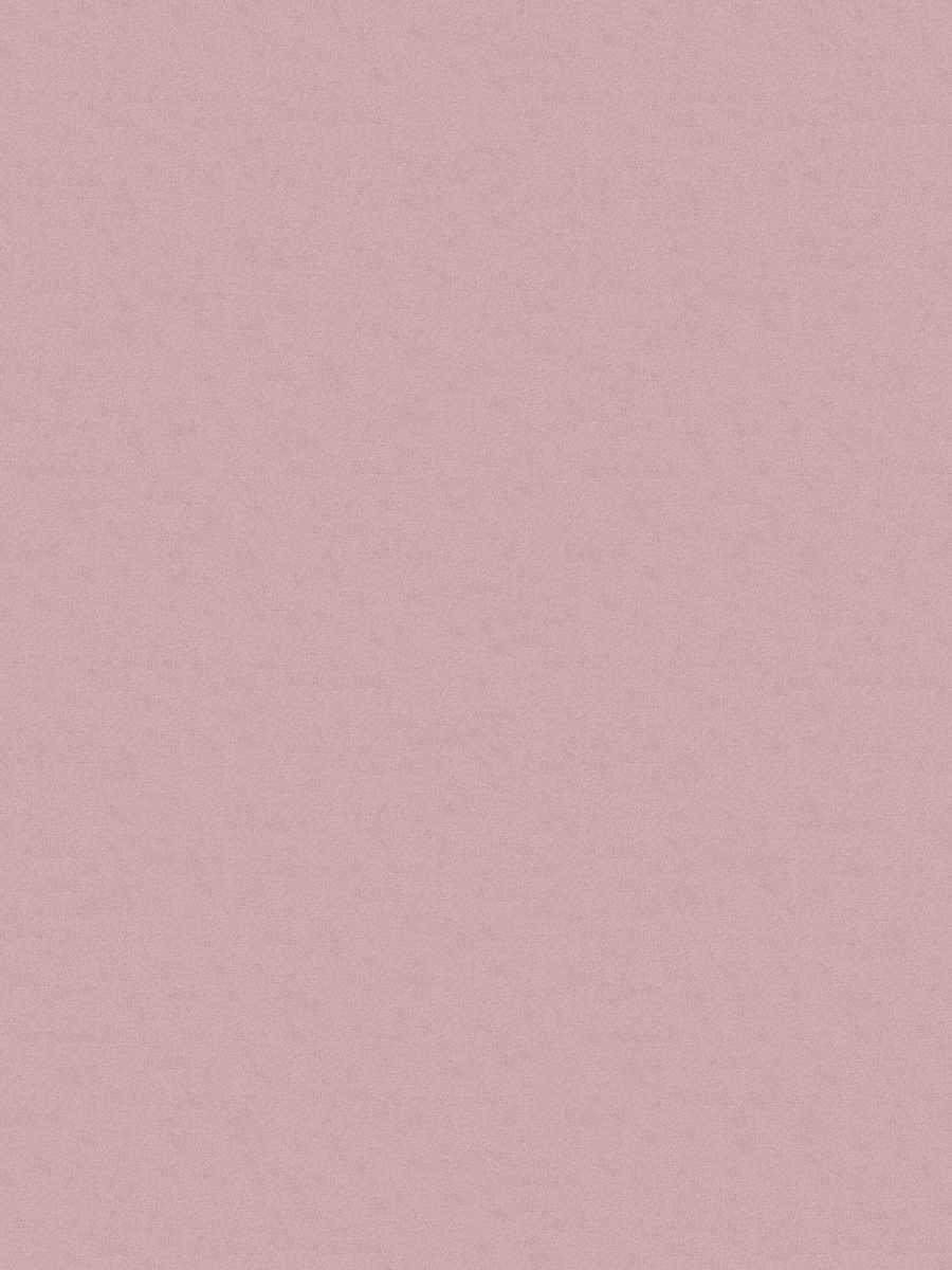 05440 – Orchid