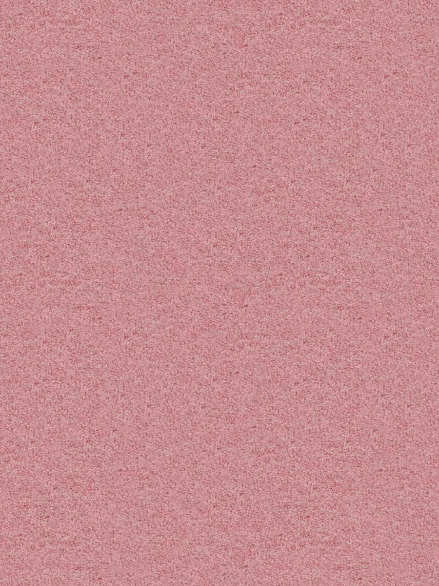 05430 – Dahlia