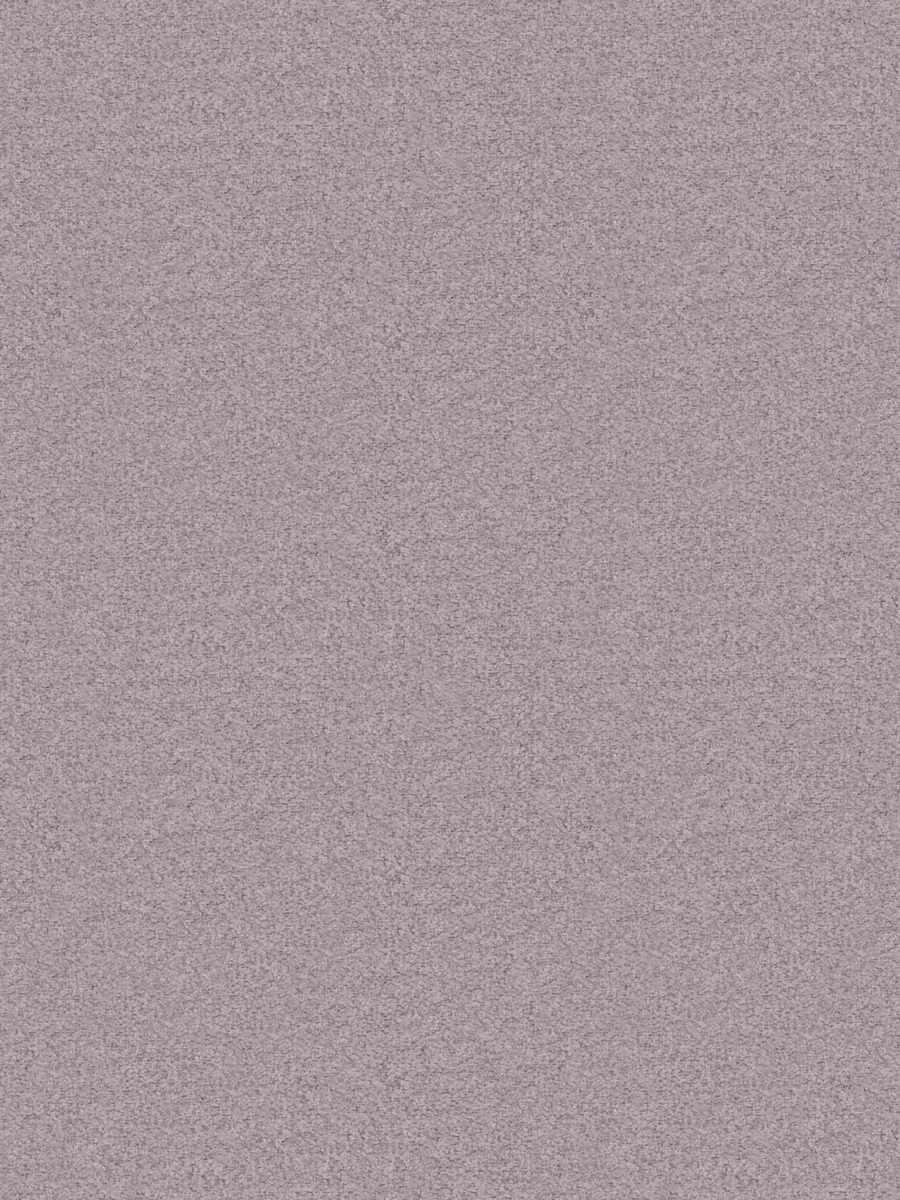 05430 – Iris
