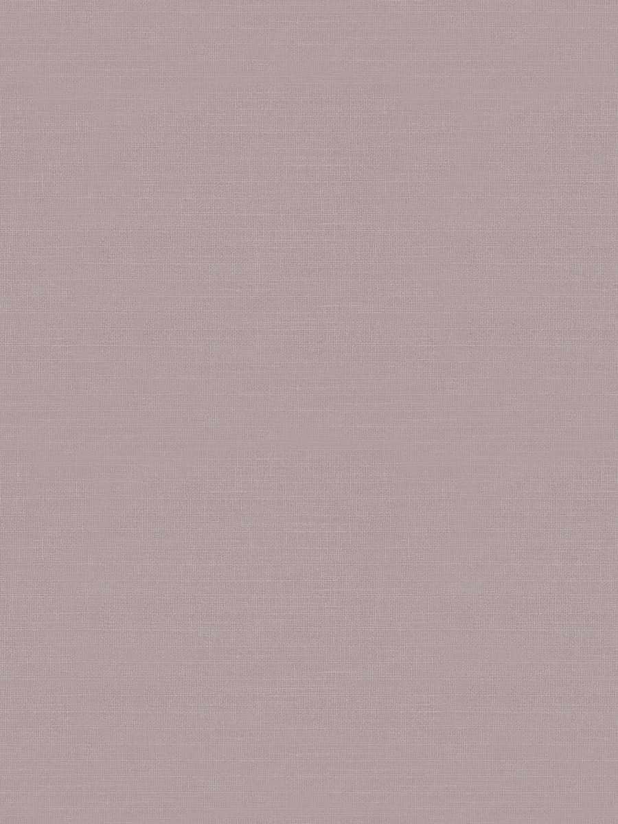 05330 – Orchid