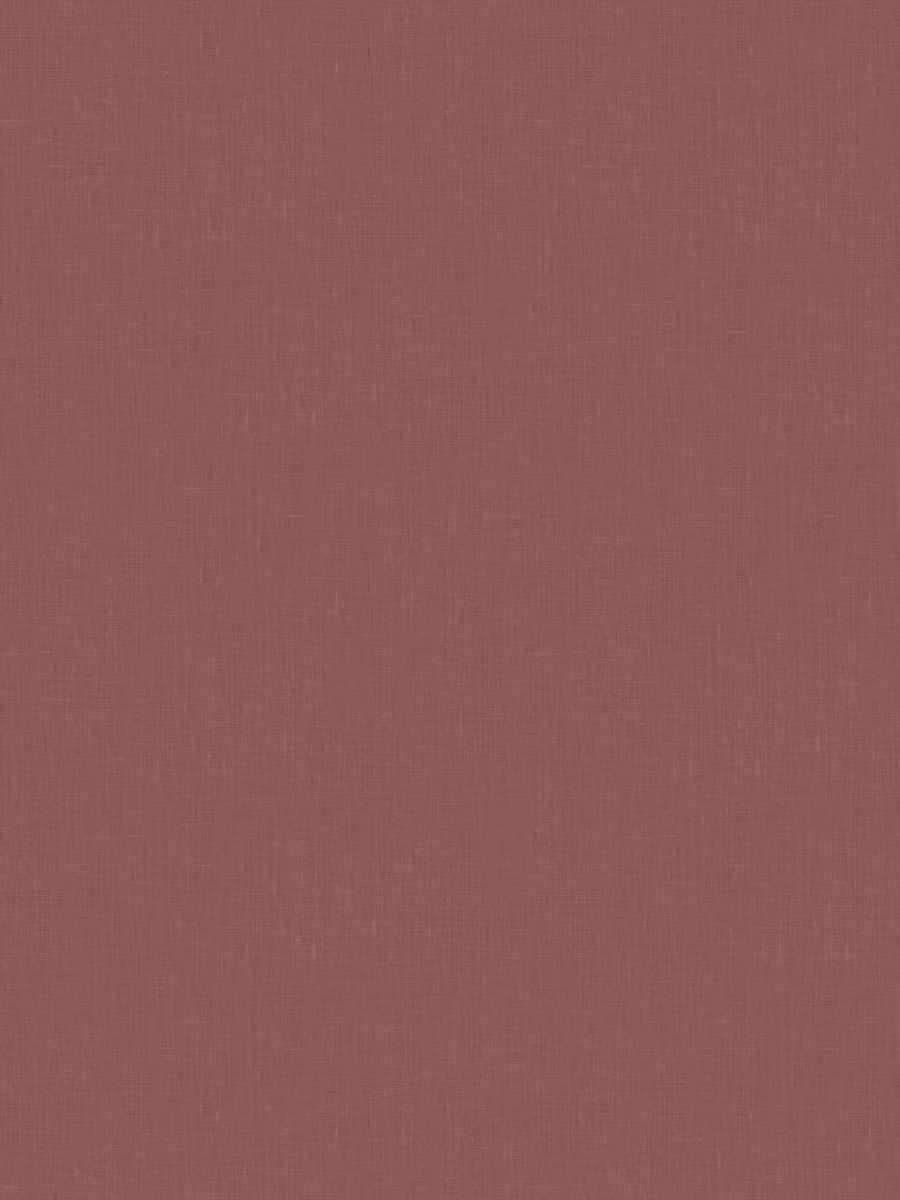 05244 – Orchid