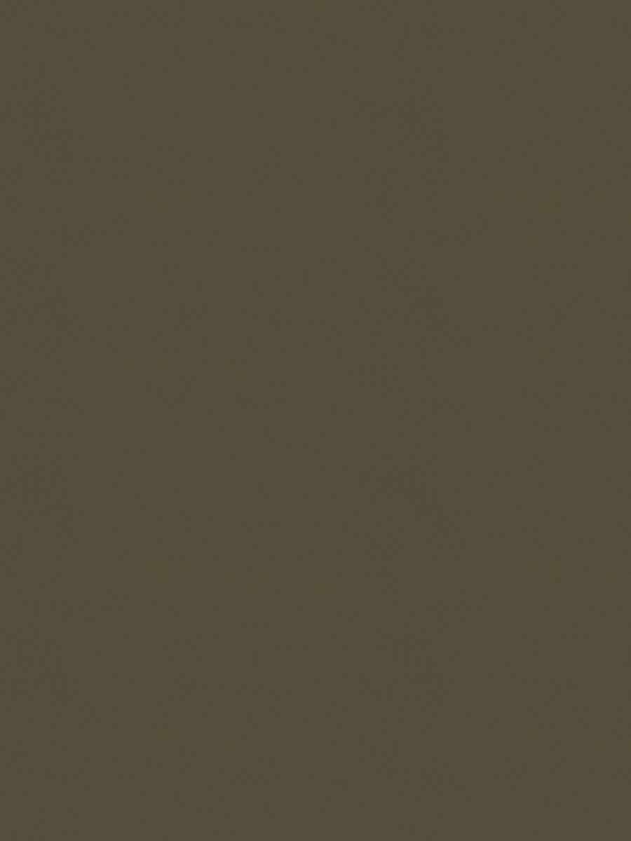 05171-UC – Mushroom