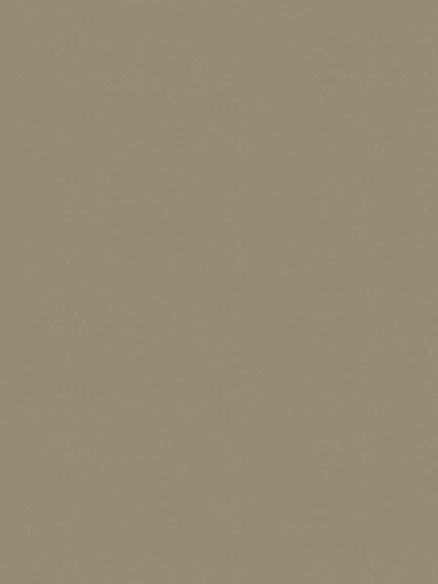 05171-UC – Biscuit